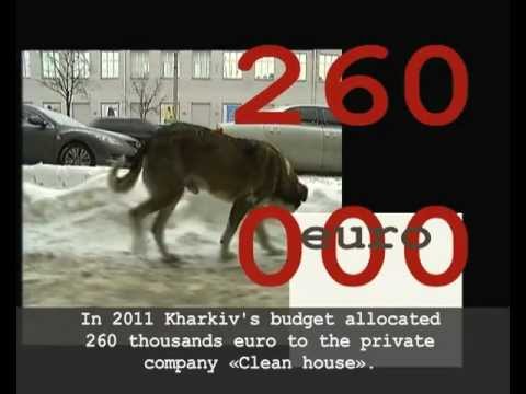 BLOODY EURO - Криваве EURO /English subtitles/