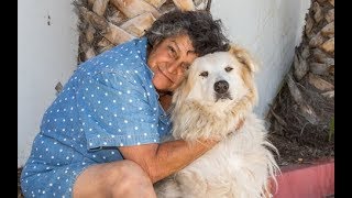 C.A.R.E.4Paws Celebrates 10 Years of Helping Animals and Pet Owners in Need!