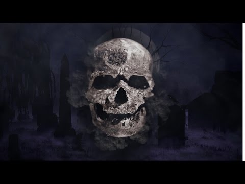 MSN Video