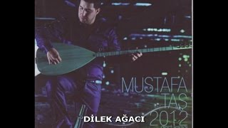 MUSTAFA TAŞ - DİLEK AĞACI