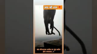 Viral Video Of Tailor In Kashmirviral Video 2023 Newviral Video In Todayviral Video Dance
