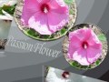 Passion Flowers(情熱の花)