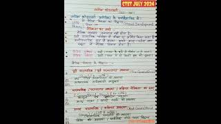 Kohlbergs Theory Of Moral Development Ctet July 2024