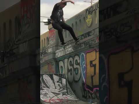 Spiiddeerrrrr Hops 🕷⬆️