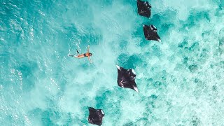 MALDIVES SHOWREEL 1.0 4K