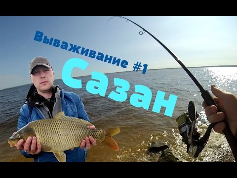 фидер на волге в самаре фидер на волге в самаре