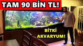 Böyle Akvaryum Görmedi̇m Araba Fiyatına Akvaryum
