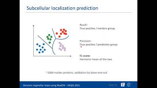 MQSS 2021 | Dynamic organellar maps go ultra-sensitive and high-throughput with MaxDIA