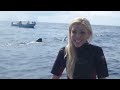 Swimming with the Whale Sharks in Cancun, Mexico