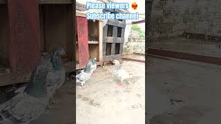 Fragment Slowed Song