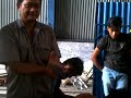 Cara Kerok Yang Benar images Cara Kerok Yang Benar