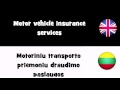 SAY IT IN 20 LANGUAGES = Motor vehicle insurance services default SAY IT IN 20 LANGUAGES = Motor vehicle insurance services