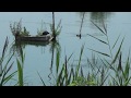 FOLAGHE E STERNE ALL' OASI NATURALISTICA LA MADONNINA A S.ALBANO STURA (CN) 30 - 7 - 2017