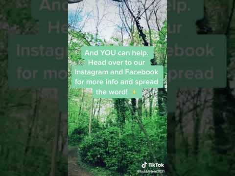 Watch our ethical ad videos ! We use the ad profit to plant trees !