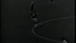 dWSxzfDfQmo Video Image