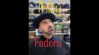 Fedora Vs. Trilby
