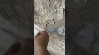 Wall Plaster Repair Work