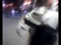 david stephens drunk