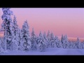 Tosca - Mrs. Bongo [No Hassle]