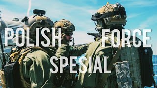 Polish Spesial Force//Jw Grom//Jwk//Formoza