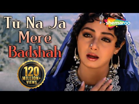 Khuda Gawah - Tu Na Ja Mere Badshah - Mohd Aziz - Alka Yagnik...