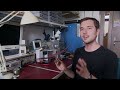 perching robot