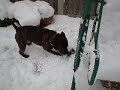 Mase in the snow