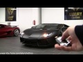 Mean Lamborghini Aventador w/ Sport Exhaust Start & Rev!