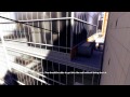 Mirror's Edge - Chapter 5 - New Eden - Part 2 (All Bags)