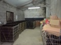 Farm of Wine Porto - Vila Real - Dial-Properties 4985