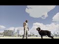 Gta 5 Chop Avec L App Ifruit images Gta 5 Chop Avec L App Ifruit