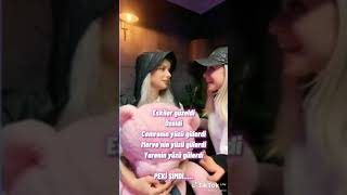 Cemmerya Edit Üzücü