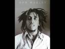 Bob Marley - Punky Reggae Party