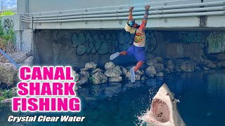 Fishing In Crystal Clear Water For C Sharks Monster Mike Fishing