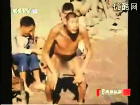 Buaya Raksasa Terbesar di Dunia ! | Free Video2MP3 & Youtube Converter