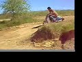 Dirty Birds Scooter Gang rough riding