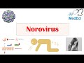 Norovirus (Norwalk Virus) | Transmission, Pathogenesis, Symptoms, Prevention