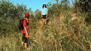 Trapped - Australian TV Series s01e01