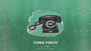 Watch Yung Pinch Big Checks feat YG video