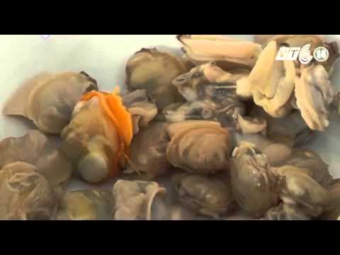 Quả mướp - Rau ngon, thuốc quý