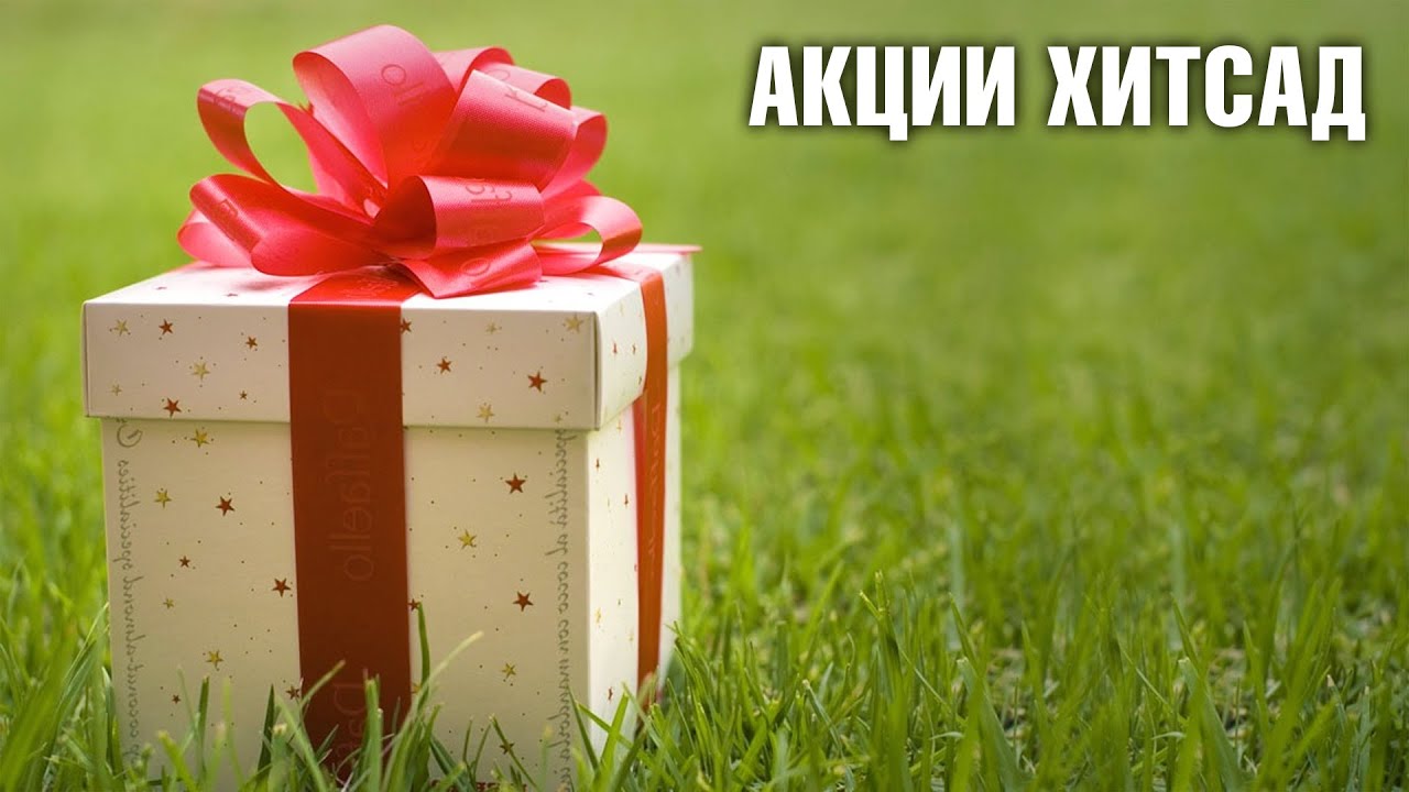Приятный и неожиданный подарок на 286