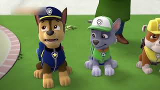 Paw Patrol Full Hd Pups Team Episode 21 Pups Save A Bat & Pups Save A Toof Funny Movies For Kids Pa