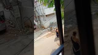Beautiful Slim Aunty Walking In Road Simple Recipes