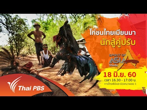 Spirit of Asia ตอน ไก่ชนไทยเมียนมา (18 มิ.ย. 60)