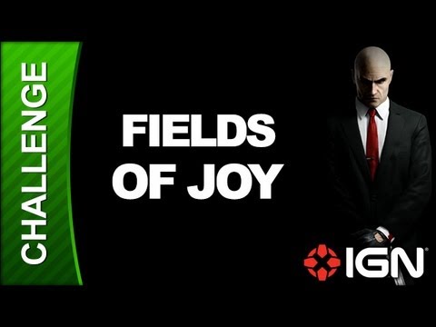 The Fields Of Joy Video