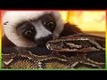 π Zoboomafoo 201 | Snakebellies | Animal shows for kids | Full Episode | HD π