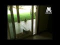 door