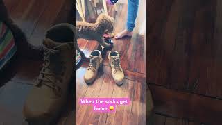 Sock Fetish