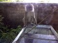 image Pagi Pagi Ngintip Orang Mandi