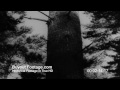 Film watch The Tree of Liberty (1940) Online Film The Tree of Liberty (1940) Watch